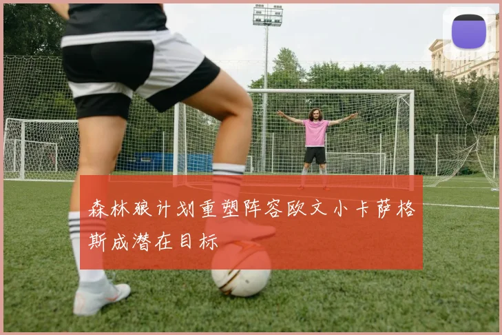 森林狼计划重塑阵容欧文小卡萨格斯成潜在目标