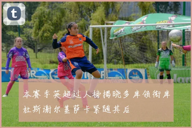 本赛季英超过人榜揭晓多库领衔库杜斯谢尔基萨卡紧随其后